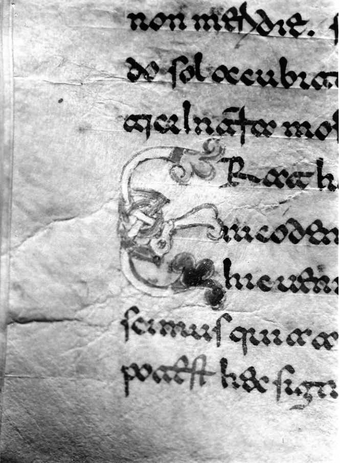 motivo decorativo (miniatura) - ambito cassinese (fine sec. XII)