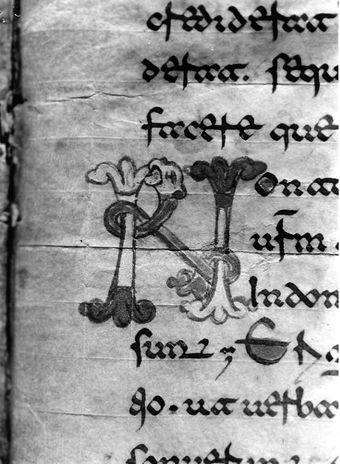 motivo decorativo (miniatura) - ambito cassinese (fine sec. XII)