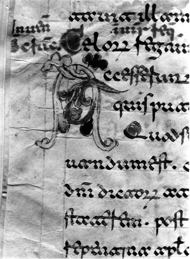 motivo decorativo (miniatura) - ambito cassinese (fine sec. XII)