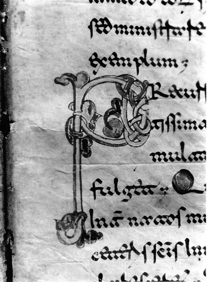 motivo decorativo (miniatura) - ambito cassinese (fine sec. XII)