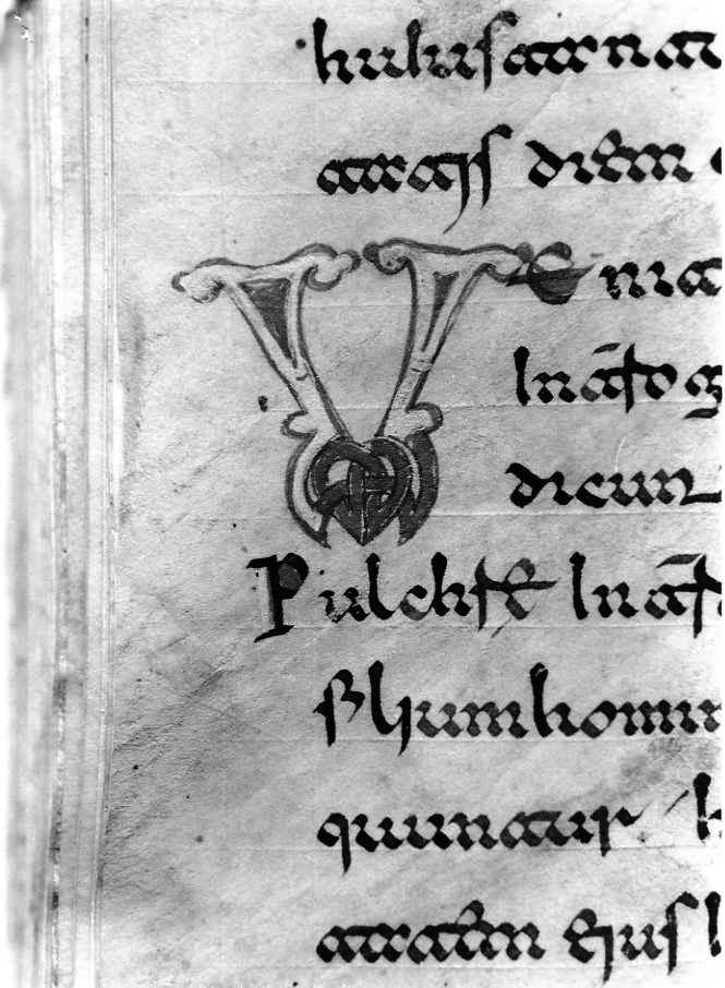 motivo decorativo (miniatura) - ambito cassinese (fine sec. XII)