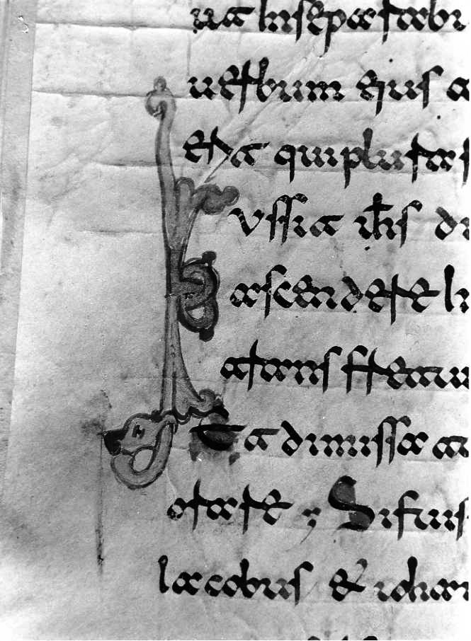 motivo decorativo (miniatura) - ambito cassinese (fine sec. XII)