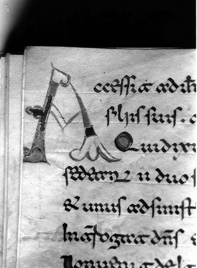 motivo decorativo (miniatura) - ambito cassinese (fine sec. XII)