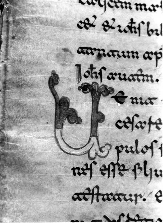 motivo decorativo (miniatura) - ambito cassinese (fine sec. XII)