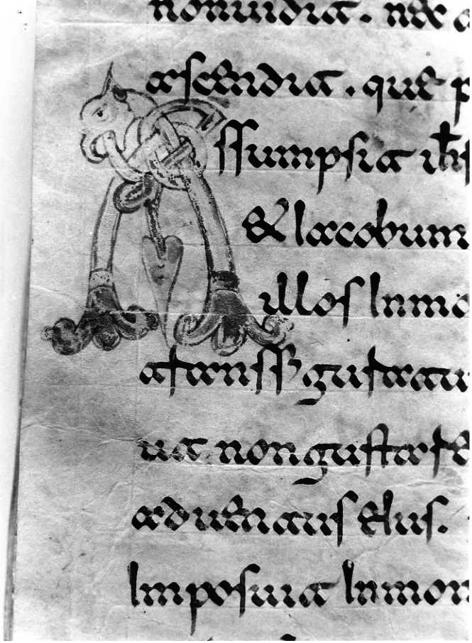 motivo decorativo zoomorfo (miniatura) - ambito cassinese (fine sec. XII)