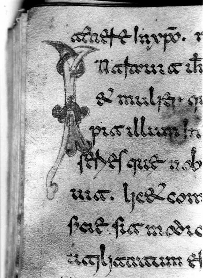 motivo decorativo (miniatura) - ambito cassinese (fine sec. XII)