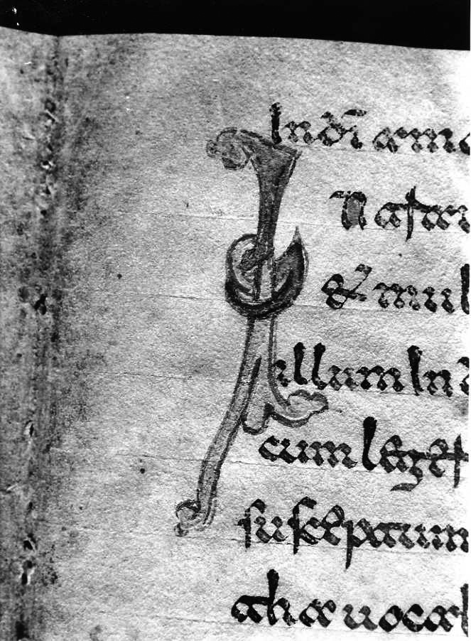 motivo decorativo (miniatura) - ambito cassinese (fine sec. XII)