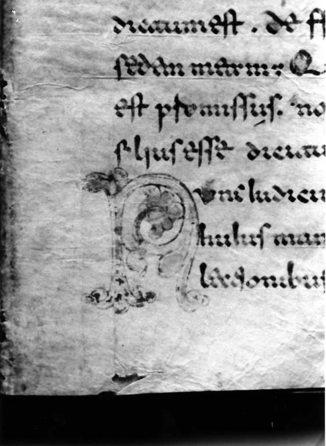 motivo decorativo (miniatura) - ambito cassinese (fine sec. XII)