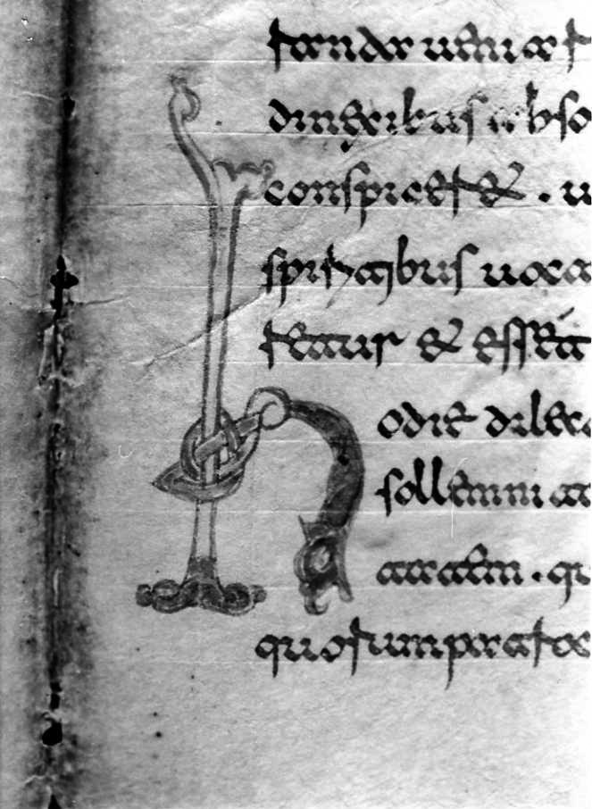 motivo decorativo zoomorfo (miniatura) - ambito cassinese (fine sec. XII)