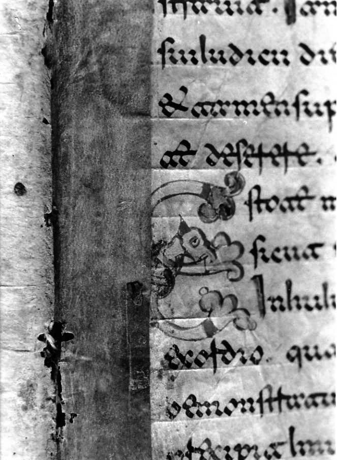 motivo decorativo zoomorfo (miniatura) - ambito cassinese (fine sec. XII)