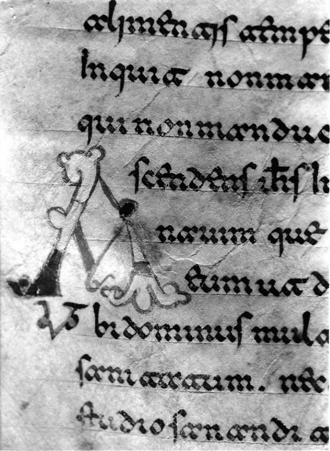 motivo decorativo (miniatura) - ambito cassinese (fine sec. XII)