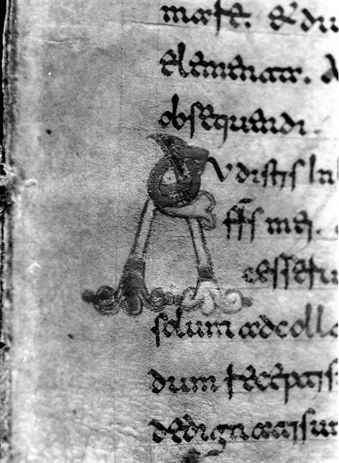 motivo decorativo (miniatura) - ambito cassinese (fine sec. XII)