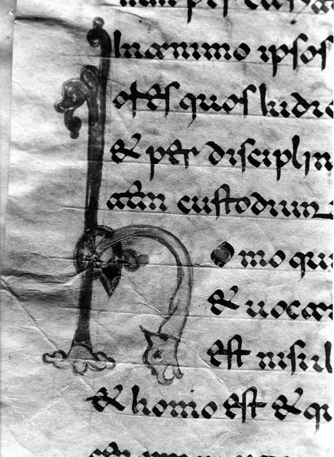 motivo decorativo zoomorfo (miniatura) - ambito cassinese (fine sec. XII)