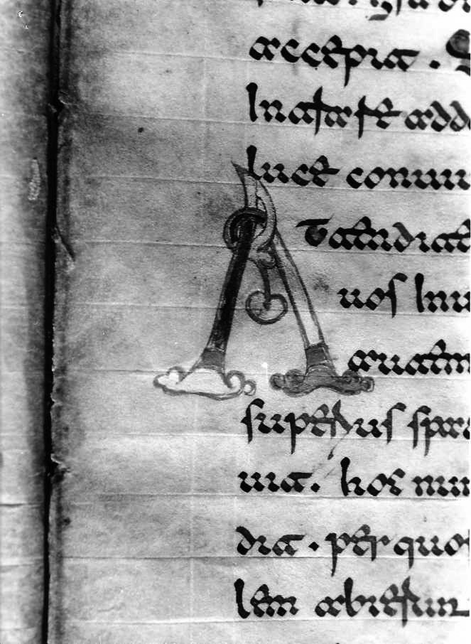 motivo decorativo (miniatura) - ambito cassinese (fine sec. XII)