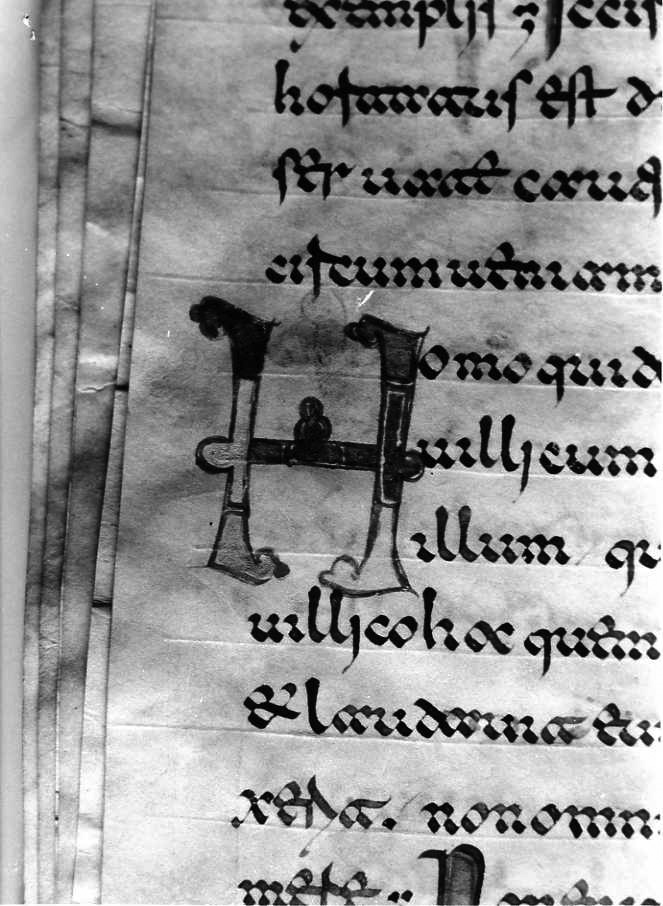 motivo decorativo (miniatura) - ambito cassinese (fine sec. XII)