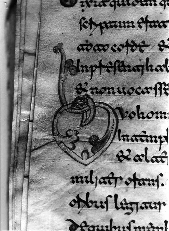 motivo decorativo (miniatura) - ambito cassinese (fine sec. XII)