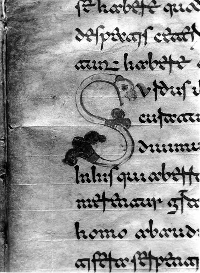 motivo decorativo zoomorfo (miniatura) - ambito cassinese (fine sec. XII)