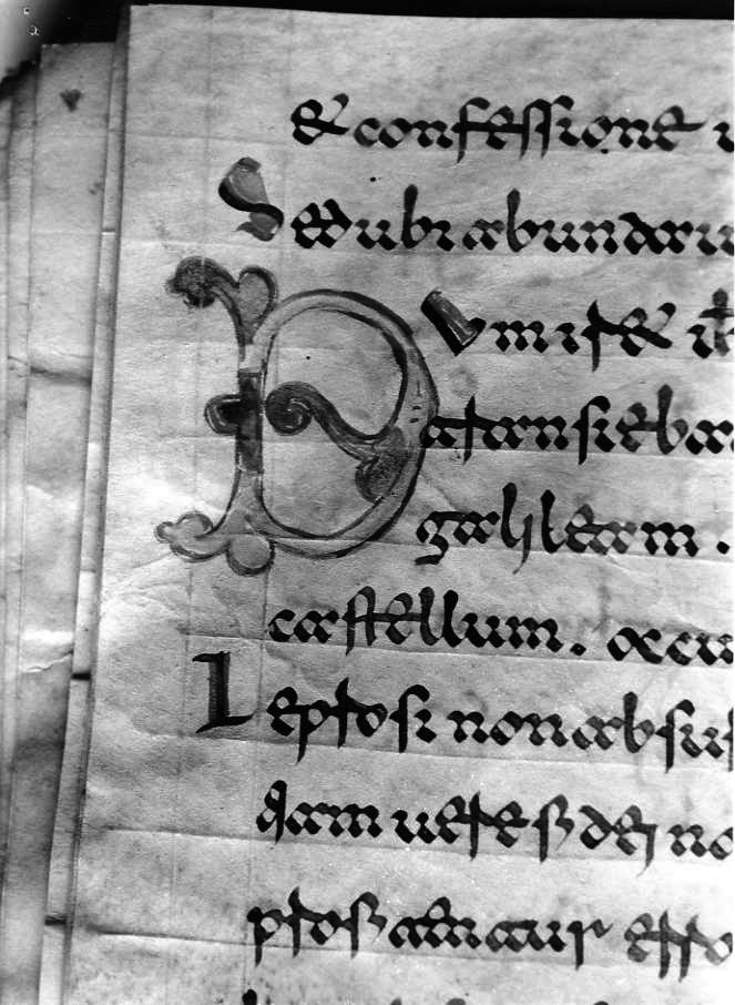 motivo decorativo (miniatura) - ambito cassinese (fine sec. XII)