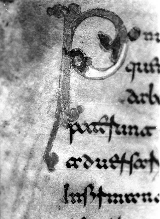 motivo decorativo (miniatura) - ambito cassinese (fine sec. XII)