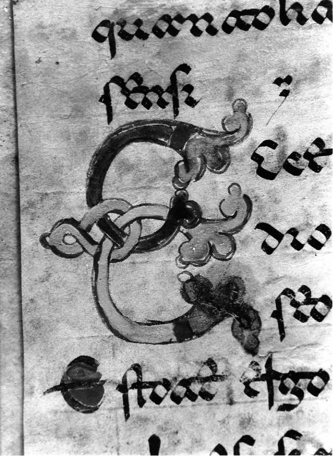 motivo decorativo (miniatura) - ambito cassinese (fine sec. XII)