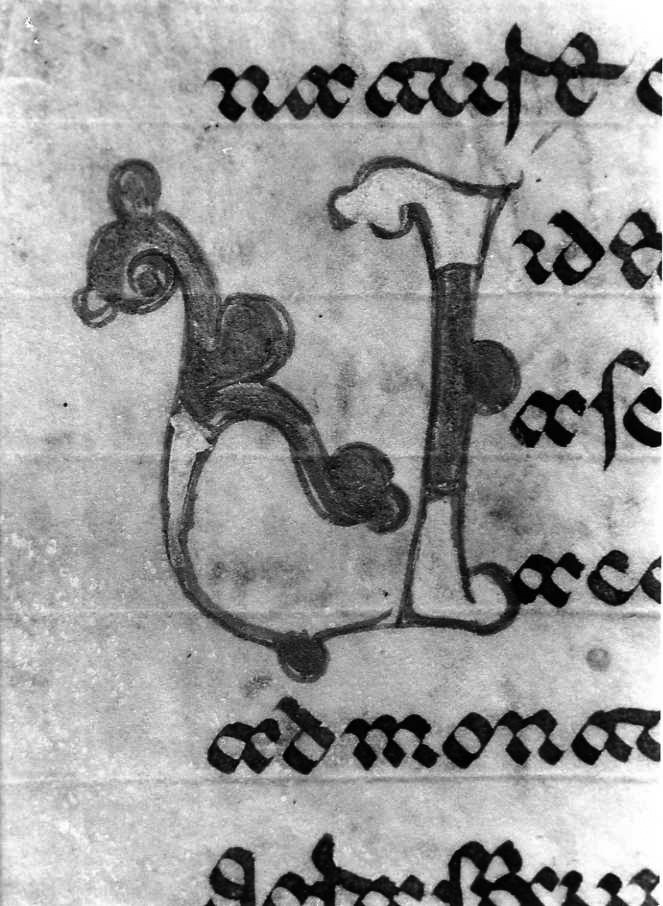 motivo decorativo (miniatura) - ambito cassinese (fine sec. XII)