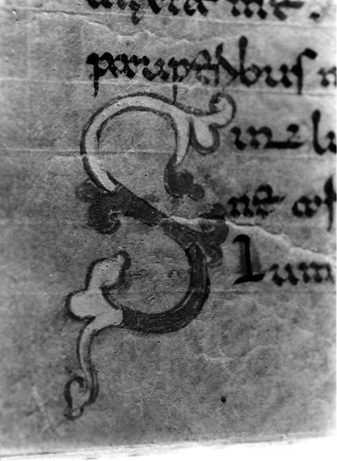 motivo decorativo (miniatura) - ambito cassinese (fine sec. XII)