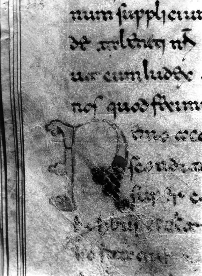 motivo decorativo (miniatura) - ambito cassinese (fine sec. XII)