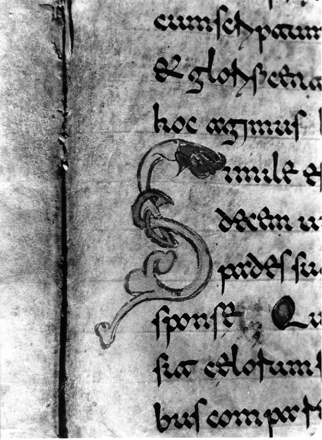 motivo decorativo (miniatura) - ambito cassinese (fine sec. XII)