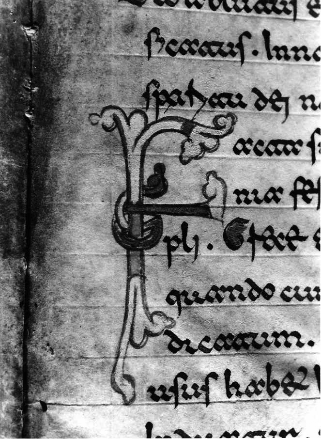 motivo decorativo (miniatura) - ambito cassinese (fine sec. XII)