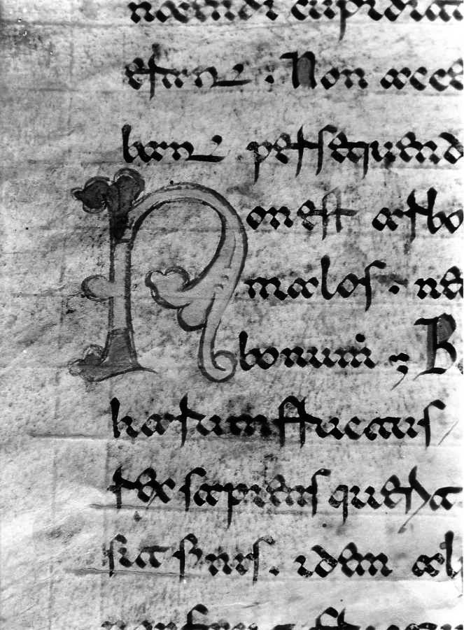 motivo decorativo (miniatura) - ambito cassinese (fine sec. XII)