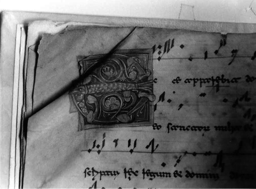 motivo decorativo zoomorfo (miniatura) - ambito cassinese (fine/inizio secc. XII/ XIII)