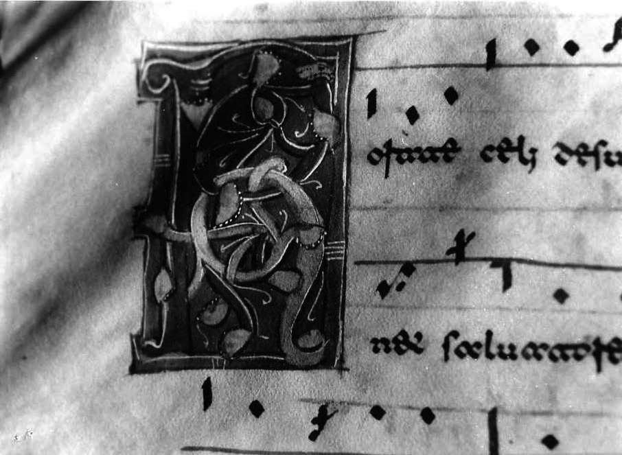 motivo decorativo fitomorfo (miniatura) - ambito cassinese (fine/inizio secc. XII/ XIII)