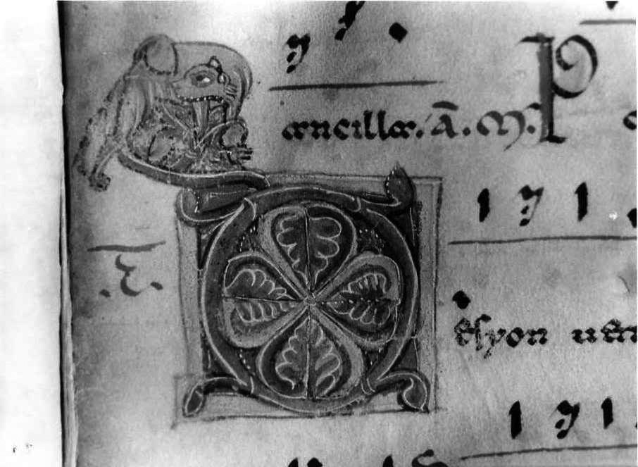 motivi decorativi vegetali e animali (miniatura) - ambito cassinese (fine/inizio secc. XII/ XIII)