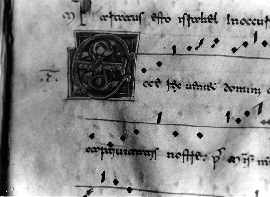 motivo decorativo a intreccio (miniatura) - ambito cassinese (fine/inizio secc. XII/ XIII)