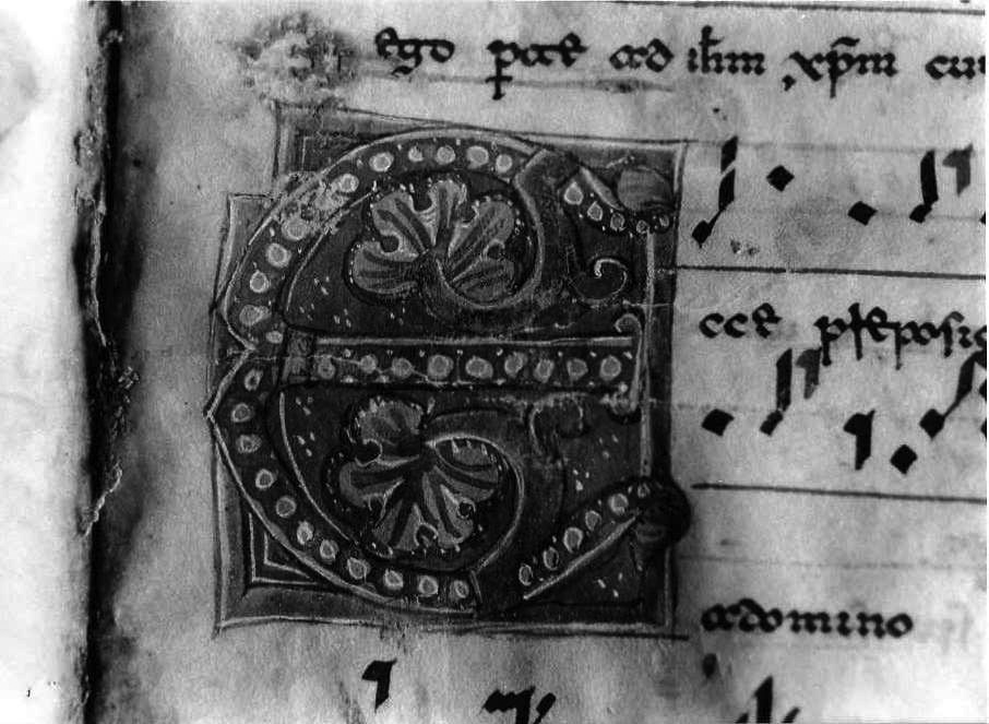 motivo decorativo fitomorfo (miniatura) - ambito cassinese (fine/inizio secc. XII/ XIII)