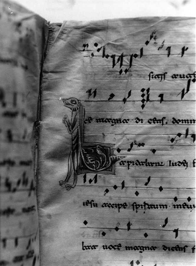 motivo decorativo zoomorfo (miniatura) - ambito cassinese (fine/inizio secc. XII/ XIII)