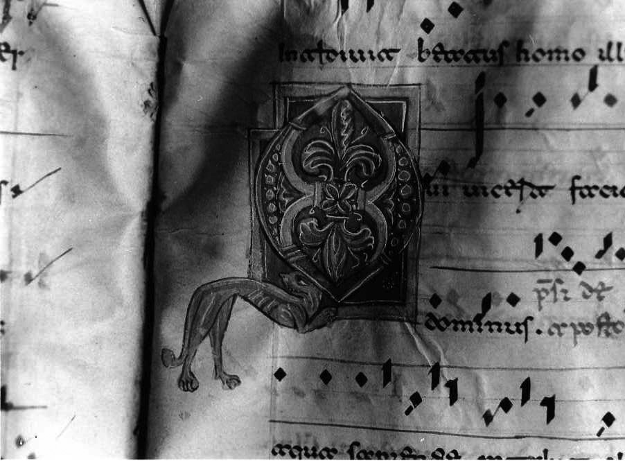 motivi decorativi vegetali e animali (miniatura) - ambito cassinese (fine/inizio secc. XII/ XIII)