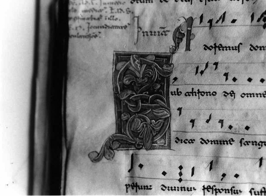 motivo decorativo fitomorfo (miniatura) - ambito cassinese (fine/inizio secc. XII/ XIII)