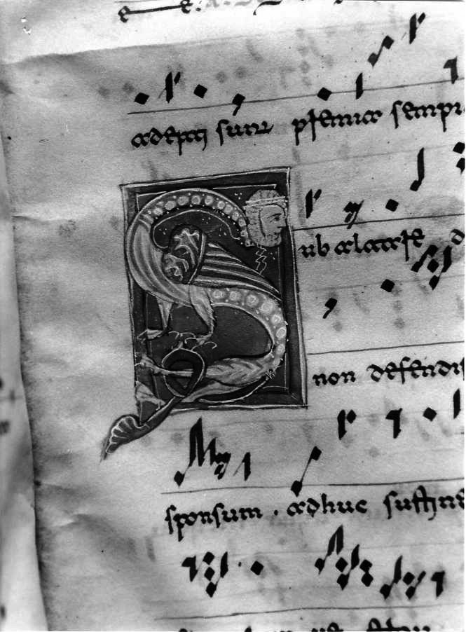 motivo decorativo zoomorfo (miniatura) - ambito cassinese (fine/inizio secc. XII/ XIII)