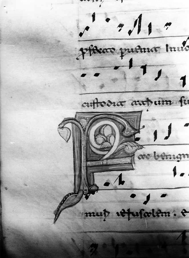 motivo decorativo fitomorfo (miniatura) - ambito cassinese (fine/inizio secc. XII/ XIII)