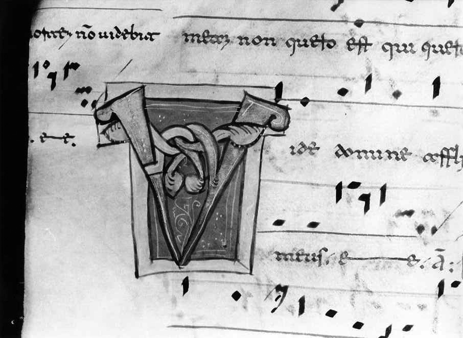 motivo decorativo (miniatura) - ambito cassinese (fine/inizio secc. XII/ XIII)