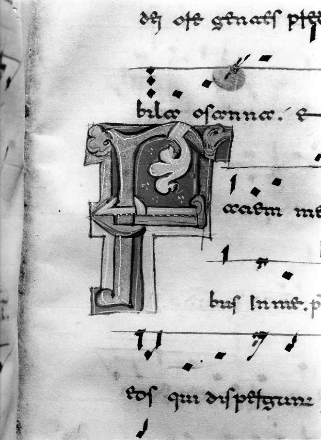 motivo decorativo (miniatura) - ambito cassinese (fine/inizio secc. XII/ XIII)