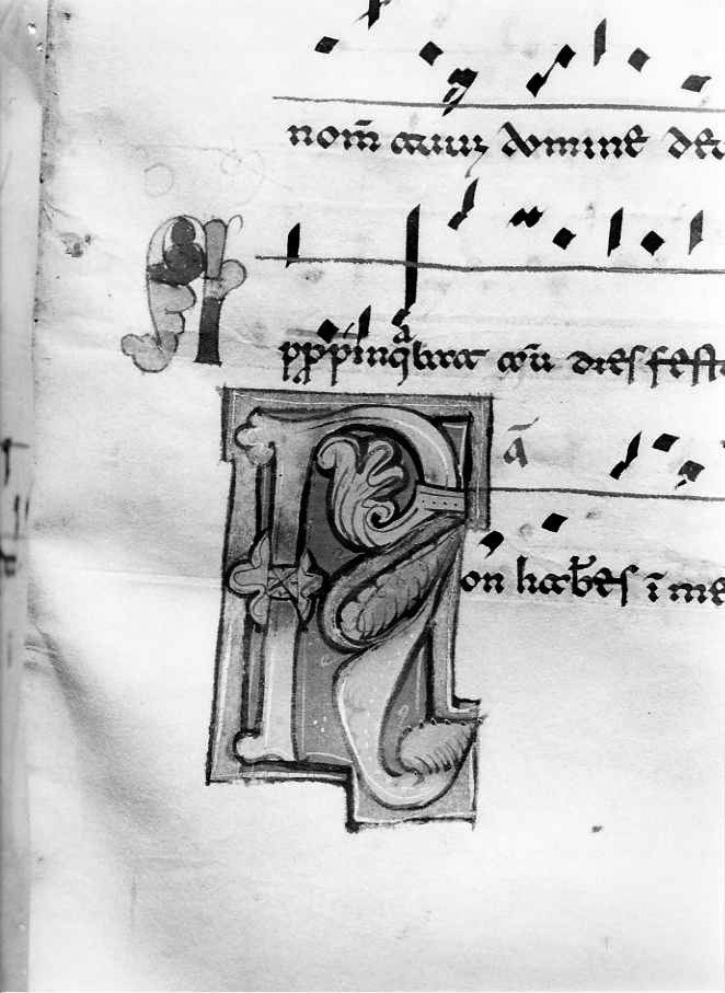 motivo decorativo fitomorfo (miniatura) - ambito cassinese (fine/inizio secc. XII/ XIII)