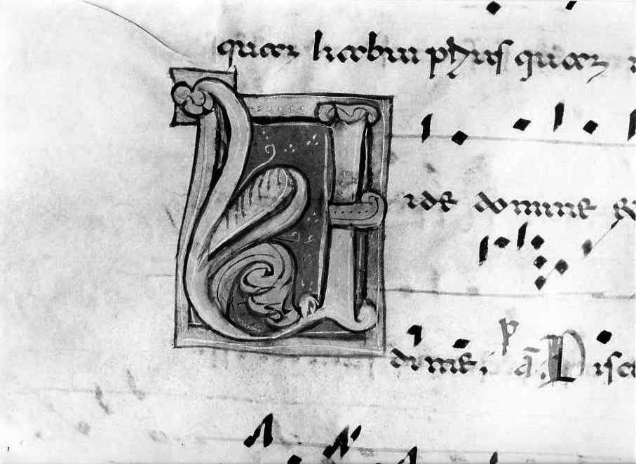 motivo decorativo fitomorfo (miniatura) - ambito cassinese (fine/inizio secc. XII/ XIII)