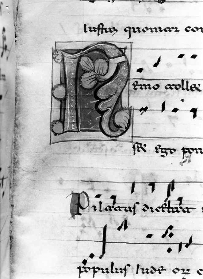 motivo decorativo fitomorfo (miniatura) - ambito cassinese (fine/inizio secc. XII/ XIII)