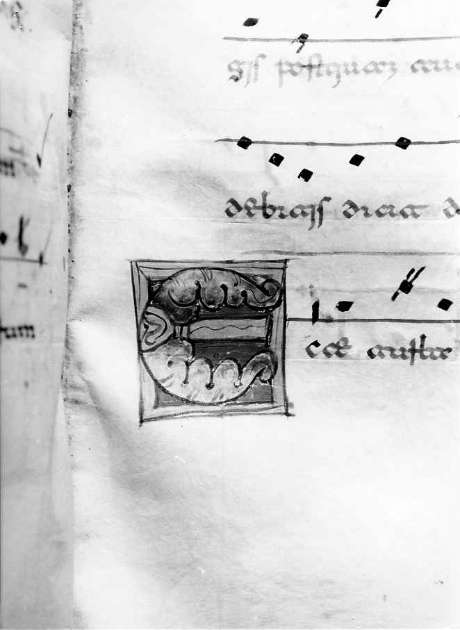 motivo decorativo (miniatura) - ambito cassinese (fine/inizio secc. XII/ XIII)