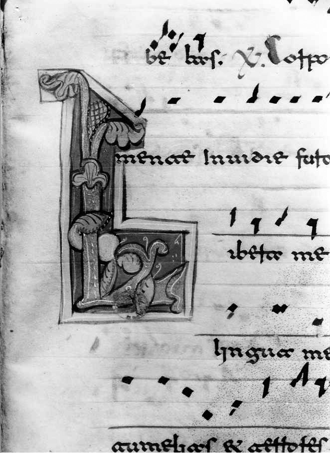 motivo decorativo fitomorfo (miniatura) - ambito cassinese (fine/inizio secc. XII/ XIII)