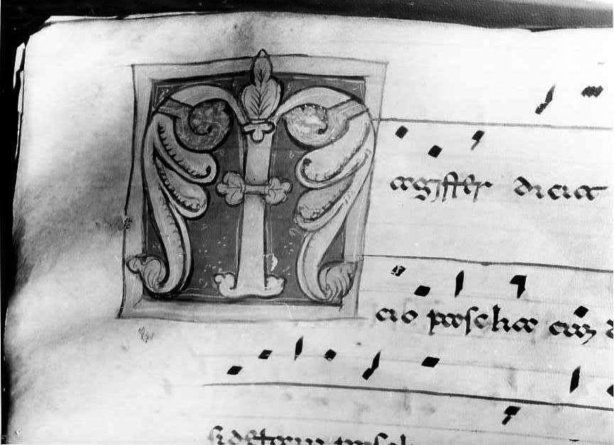 motivo decorativo fitomorfo (miniatura) - ambito cassinese (fine/inizio secc. XII/ XIII)