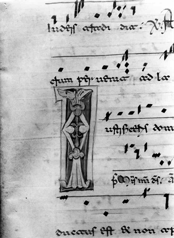 motivo decorativo zoomorfo (miniatura) - ambito cassinese (fine/inizio secc. XII/ XIII)