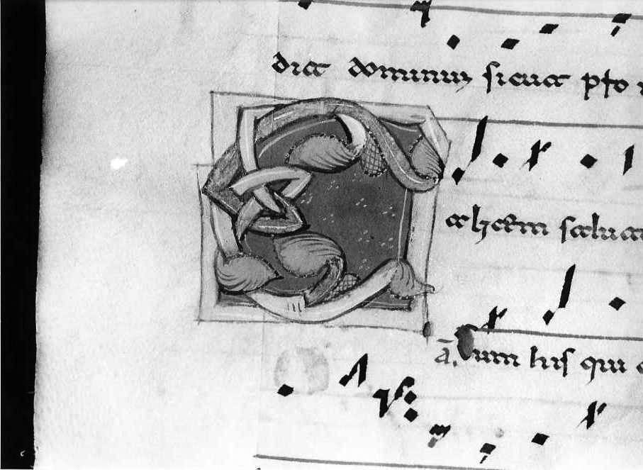 motivo decorativo fitomorfo (miniatura) - ambito cassinese (fine/inizio secc. XII/ XIII)